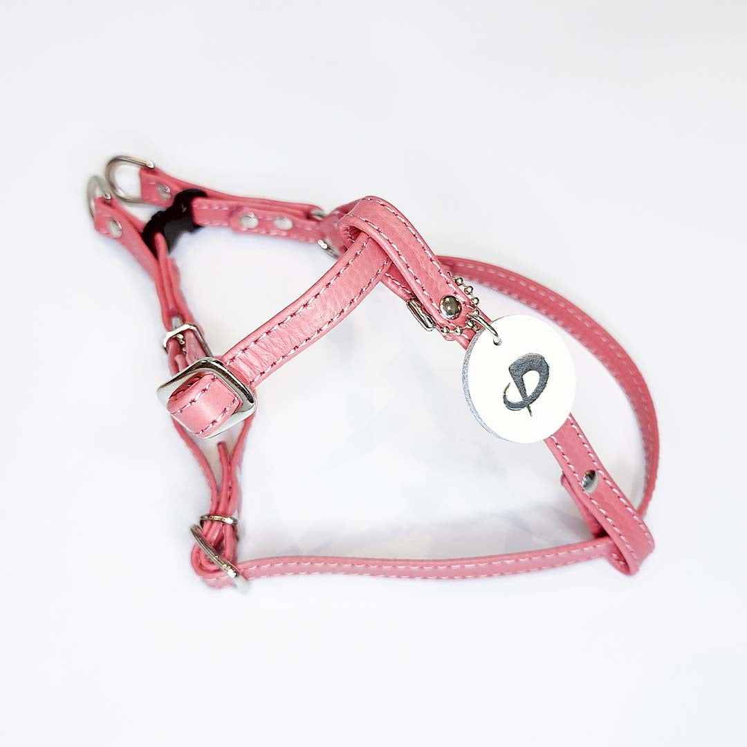 ペット用ハーネス – Petわ輪（ぺとわりん）