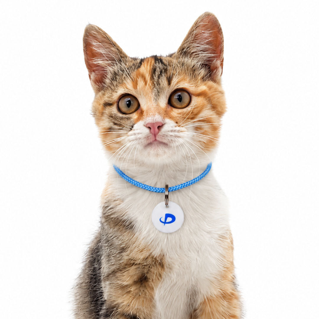 猫用ネックレス
