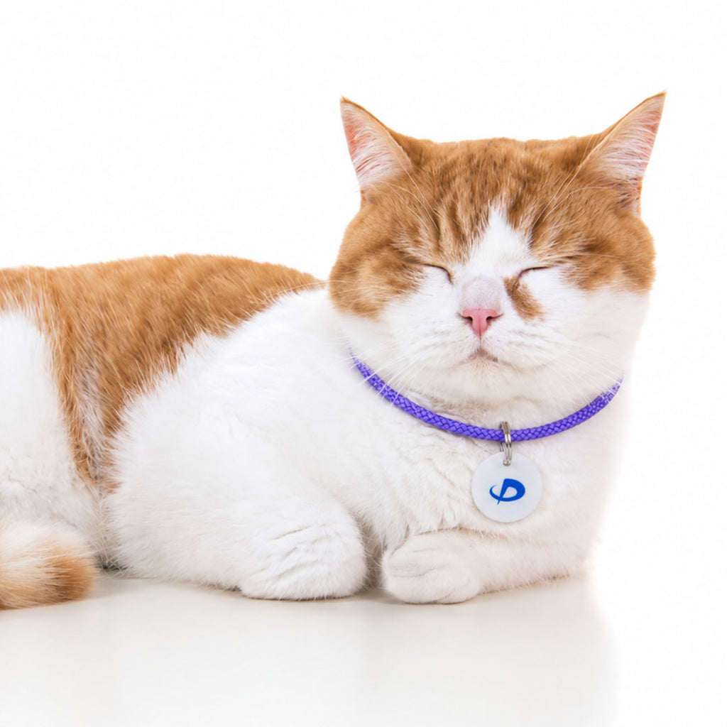 猫用ネックレス