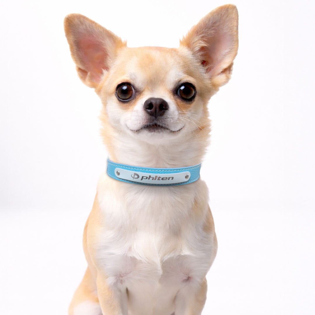 革製ペット用首輪